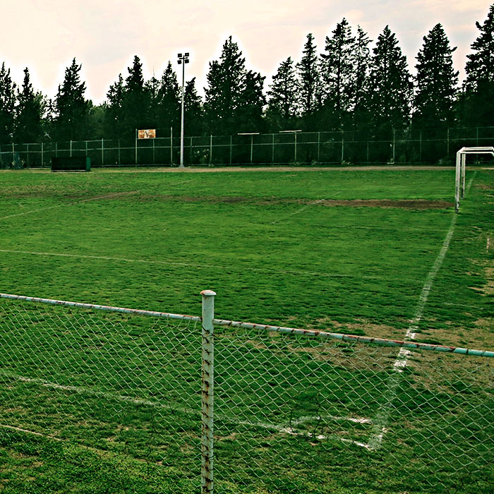 Travnato nogometno igralište